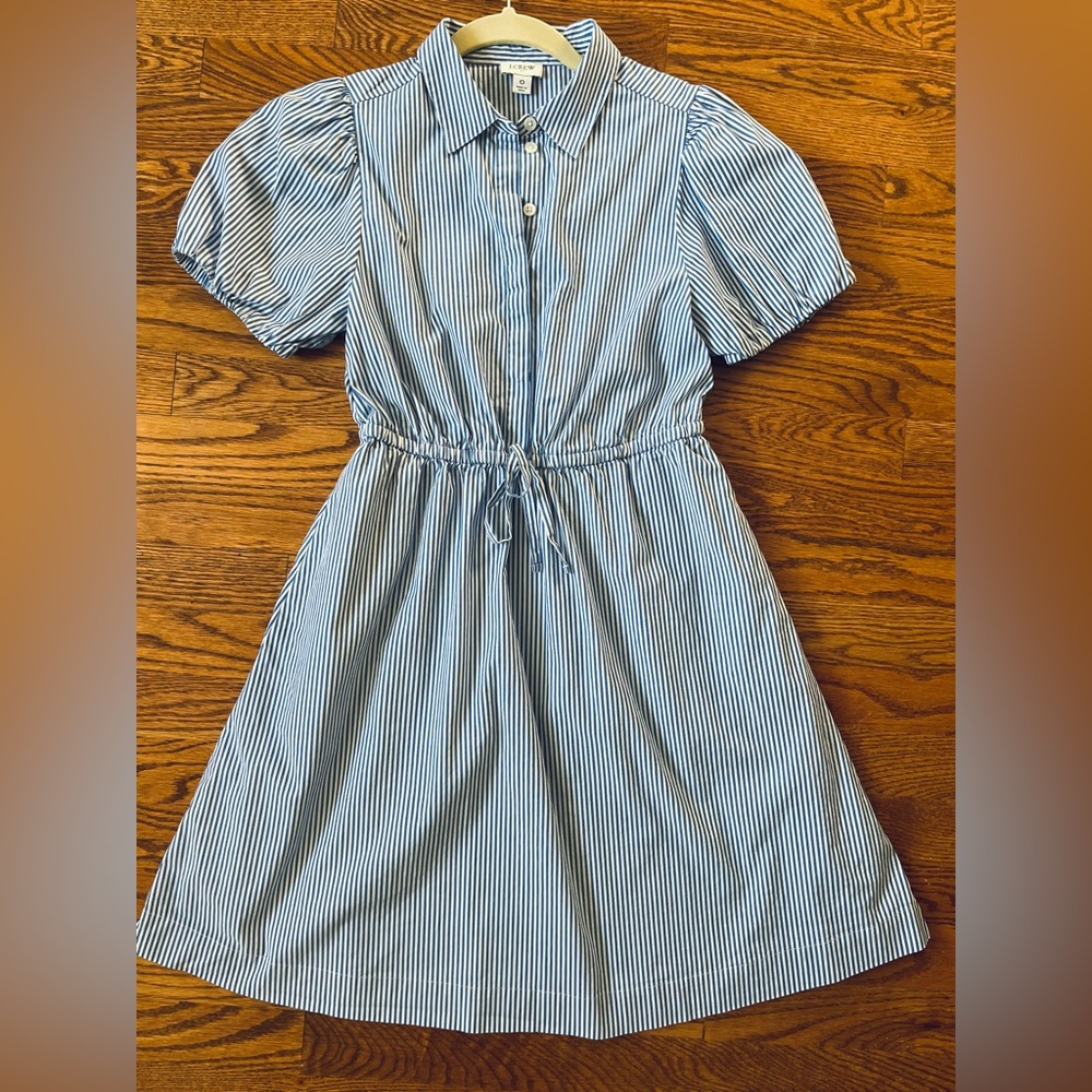 J. Crew Blue and White Striped Shirt Dress